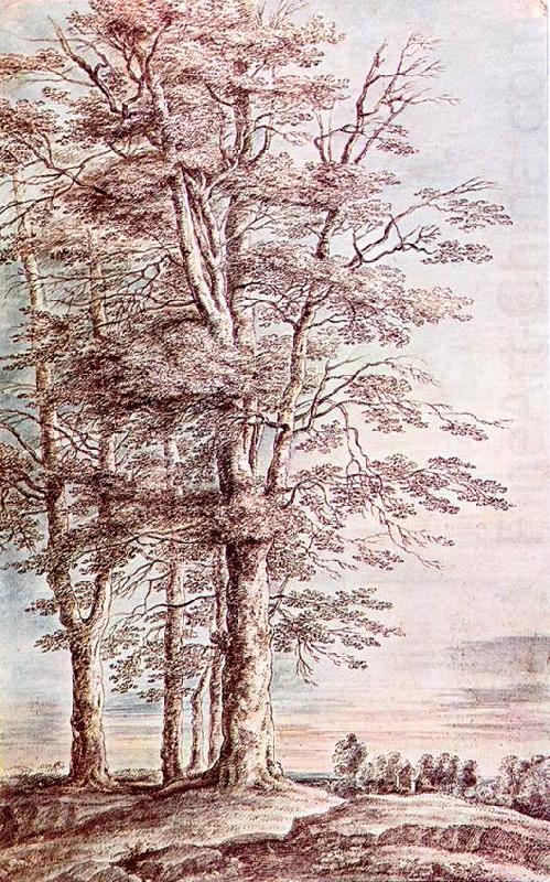 UDEN, Lucas van Landscape with Tall Trees dg china oil painting image